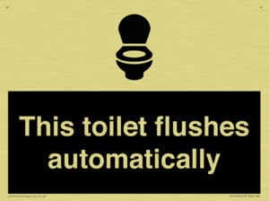 This toilet flushes automatically